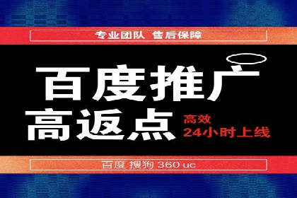 百度SEO与广告结合的多元化推广策略——多行业成功案例