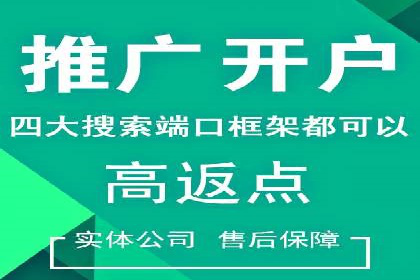 SEM公司成功案例分享：搜索引擎优化的力量