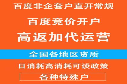 SEM服务公司经典案例集锦